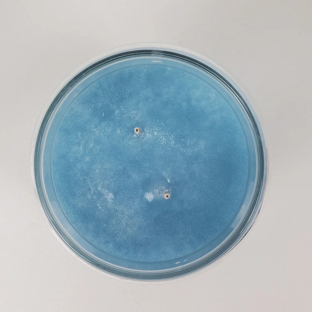 Village Candle Rain Large Glass Apothecary Jar 21.25 oz Dual Wick Blue Candle